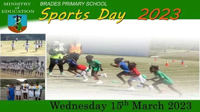 Brades Primary School Sports 2023